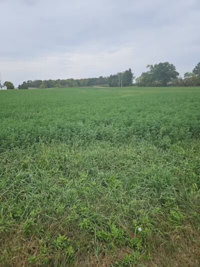 County Line Trail - Rittman, OH