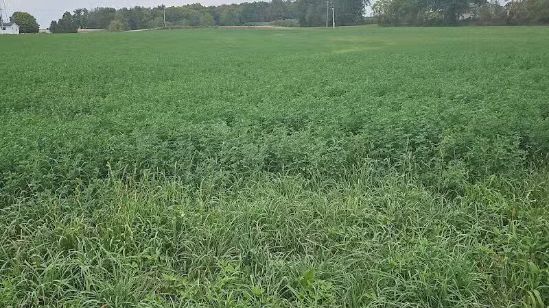 County Line Trail - Rittman, OH