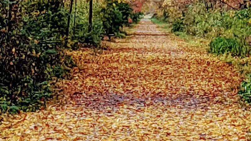 County Line Trail - Rittman, OH