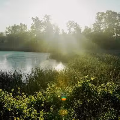 William J. Robertson Nature Preserve - Rittman, OH