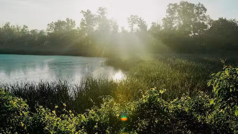 William J. Robertson Nature Preserve - Rittman, OH