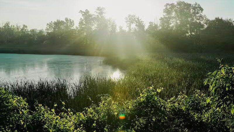 William J. Robertson Nature Preserve - Rittman, OH