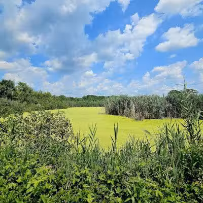 William J. Robertson Nature Preserve - Rittman, OH