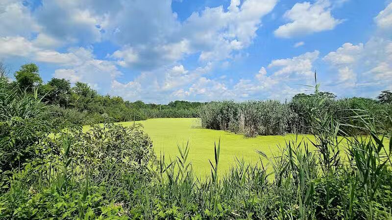William J. Robertson Nature Preserve - Rittman, OH