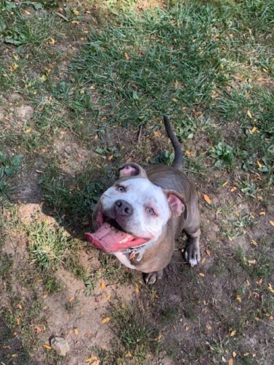 Community Park - Riverside, OH