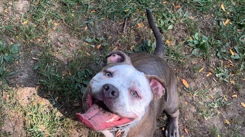 Community Park - Riverside, OH