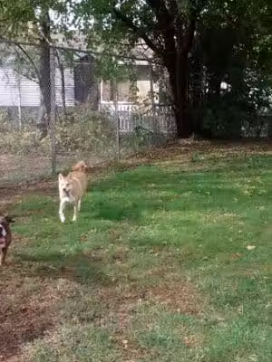 Community Park - Riverside, OH