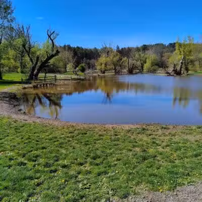 Ellison Dog Park - Rochester, NY