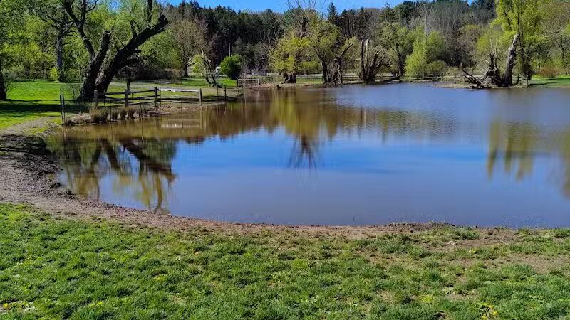 Ellison Dog Park - Rochester, NY