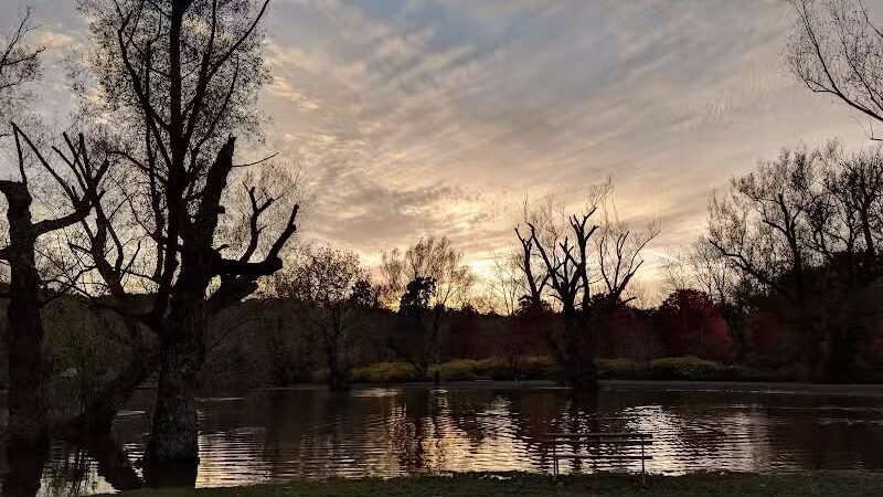 Ellison Dog Park - Rochester, NY