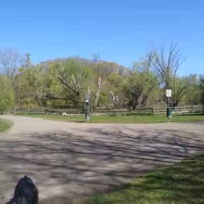 Ellison Dog Park - Rochester, NY