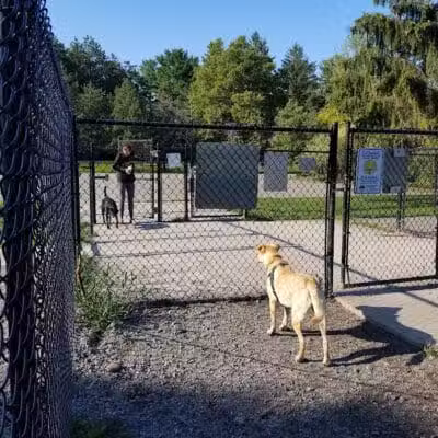 Ellison Dog Park - Rochester, NY
