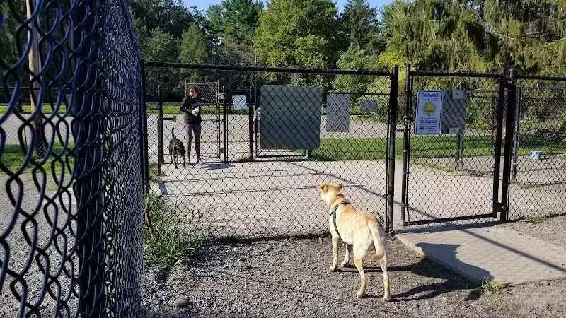Ellison Dog Park - Rochester, NY
