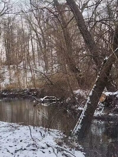 Ellison Dog Park - Rochester, NY