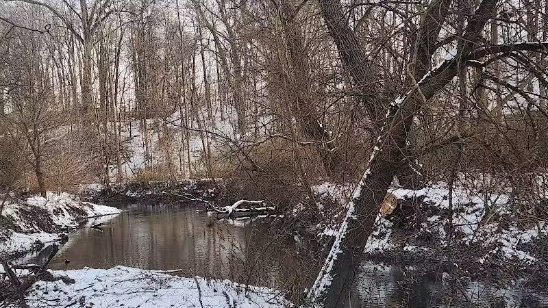 Ellison Dog Park - Rochester, NY