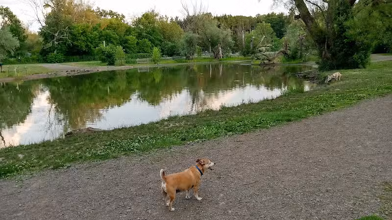 Ellison Dog Park - Rochester, NY