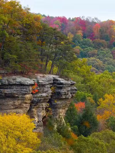 Conkles Hollow State Nature Preserve - Rockbridge, OH