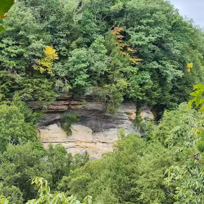 Conkles Hollow State Nature Preserve - Rockbridge, OH