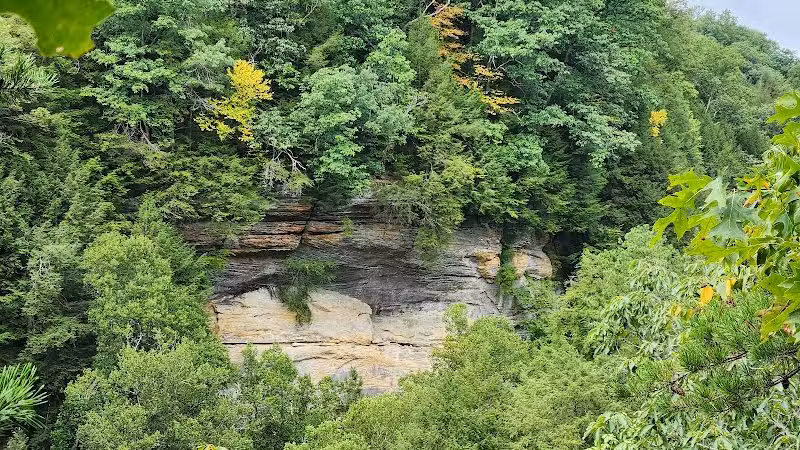 Conkles Hollow State Nature Preserve - Rockbridge, OH