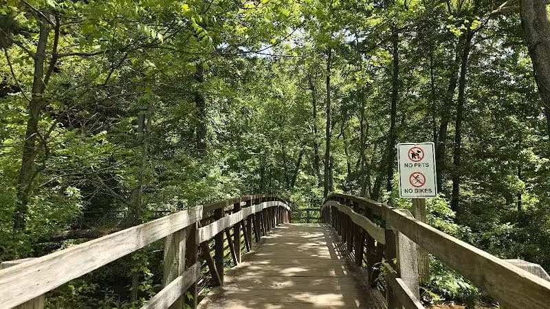 Conkles Hollow State Nature Preserve - Rockbridge, OH