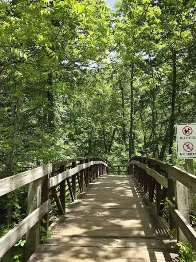 Conkles Hollow State Nature Preserve - Rockbridge, OH