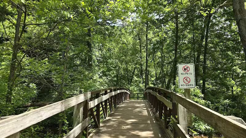 Conkles Hollow State Nature Preserve - Rockbridge, OH