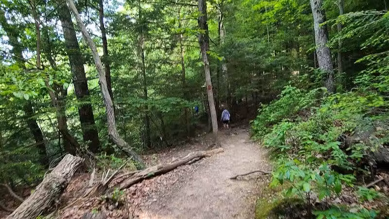 Conkles Hollow State Nature Preserve - Rockbridge, OH