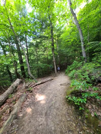 Conkles Hollow State Nature Preserve - Rockbridge, OH