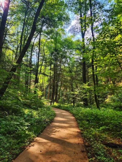 Conkles Hollow State Nature Preserve - Rockbridge, OH
