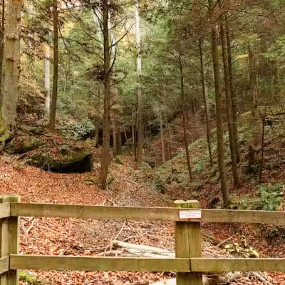 Conkles Hollow State Nature Preserve - Rockbridge, OH