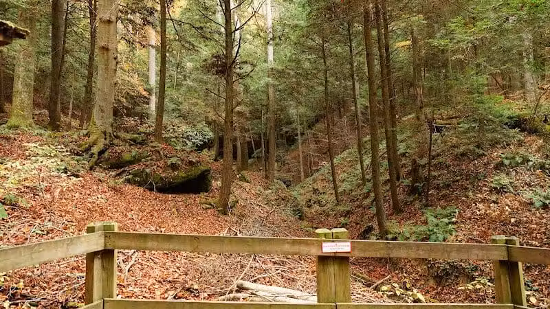 Conkles Hollow State Nature Preserve - Rockbridge, OH