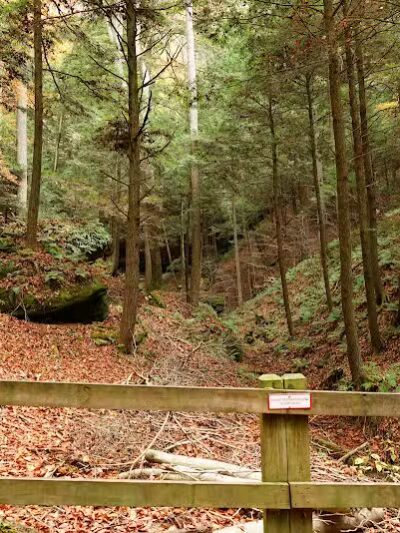 Conkles Hollow State Nature Preserve - Rockbridge, OH