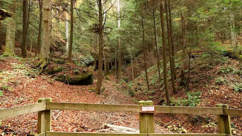 Conkles Hollow State Nature Preserve - Rockbridge, OH