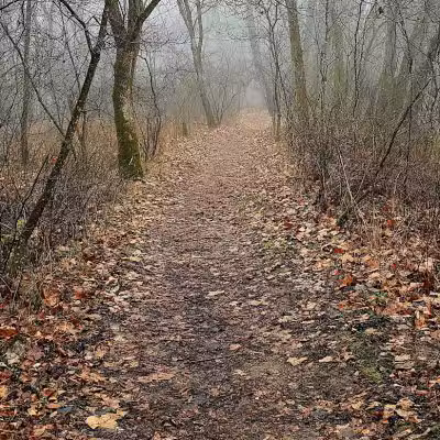 Creekside Meadows Pet Trail - Rockbridge, OH