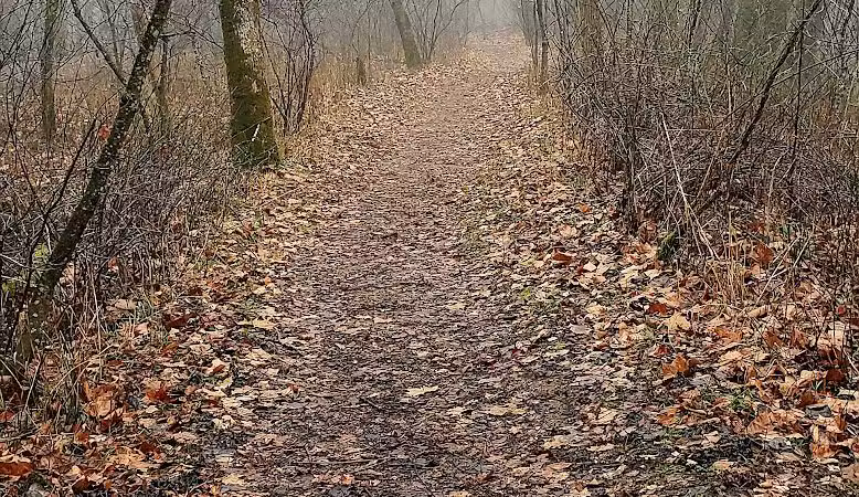 Creekside Meadows Pet Trail - Rockbridge, OH