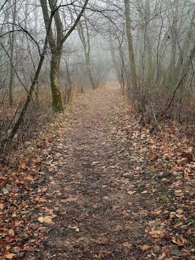 Creekside Meadows Pet Trail - Rockbridge, OH