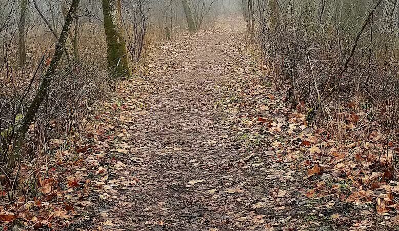 Creekside Meadows Pet Trail - Rockbridge, OH