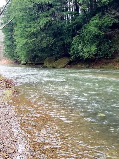 Creekside Meadows Pet Trail - Rockbridge, OH