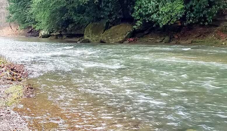 Creekside Meadows Pet Trail - Rockbridge, OH