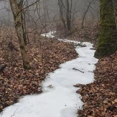 Creekside Meadows Pet Trail - Rockbridge, OH