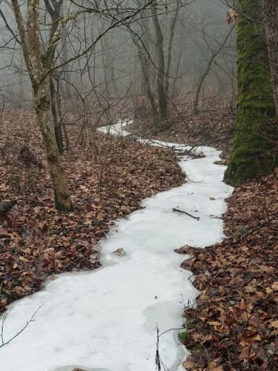 Creekside Meadows Pet Trail - Rockbridge, OH