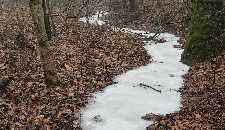 Creekside Meadows Pet Trail - Rockbridge, OH