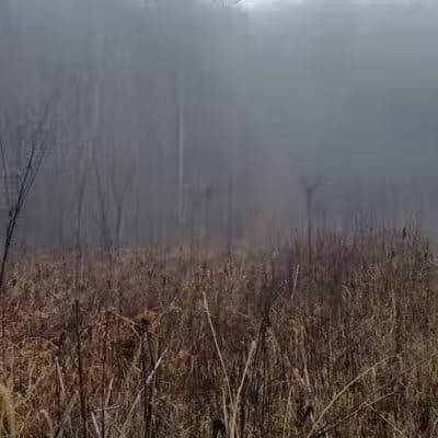 Creekside Meadows Pet Trail - Rockbridge, OH