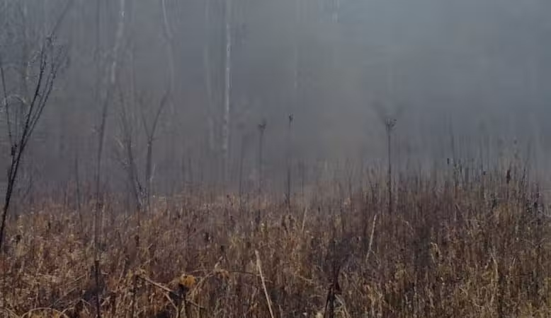 Creekside Meadows Pet Trail - Rockbridge, OH