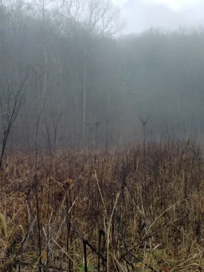 Creekside Meadows Pet Trail - Rockbridge, OH