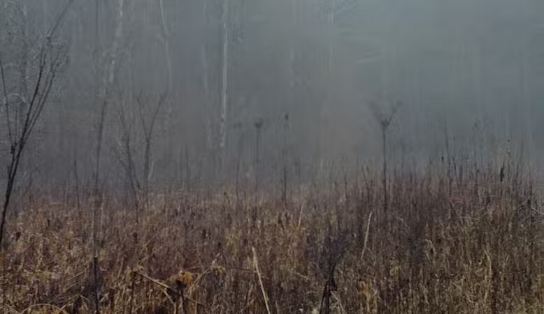 Creekside Meadows Pet Trail - Rockbridge, OH