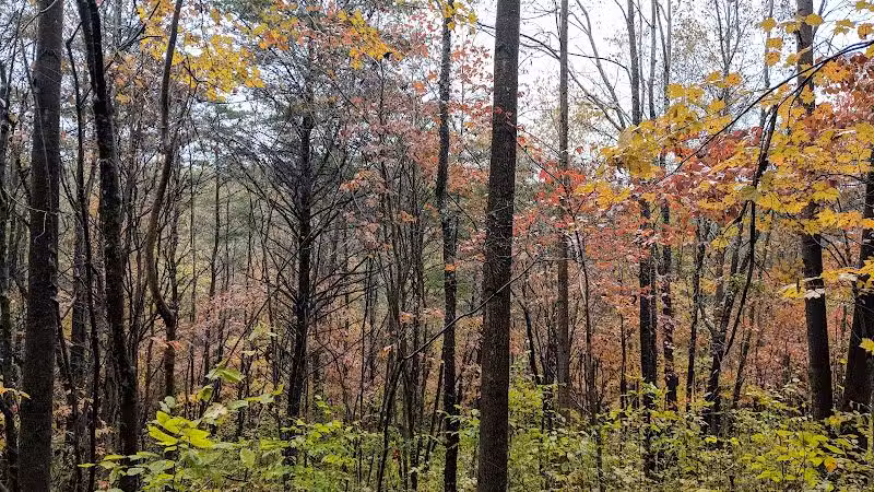 Rockbridge - Rockbridge, OH
