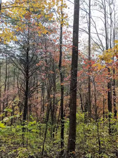 Rockbridge - Rockbridge, OH