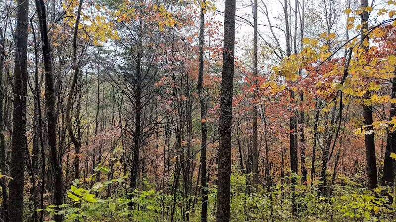 Rockbridge - Rockbridge, OH