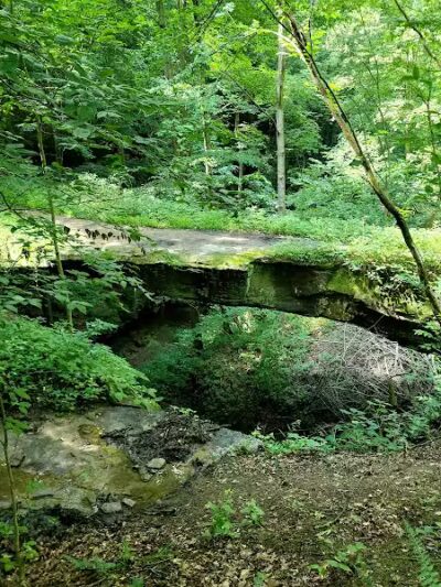 Rockbridge State Nature Preserve - Rockbridge, OH